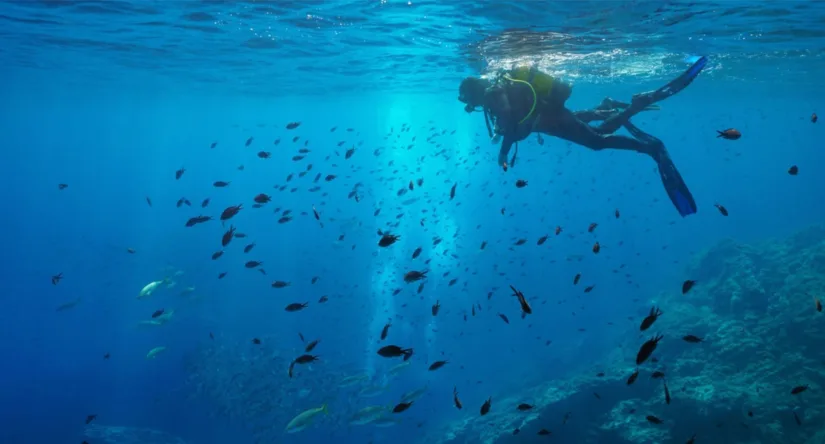 OCEANOGRAFÍA